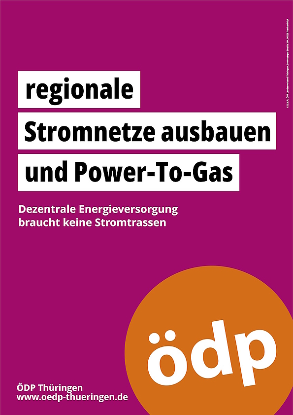regionale Stromnetze ausbauen und Power-To-Gas