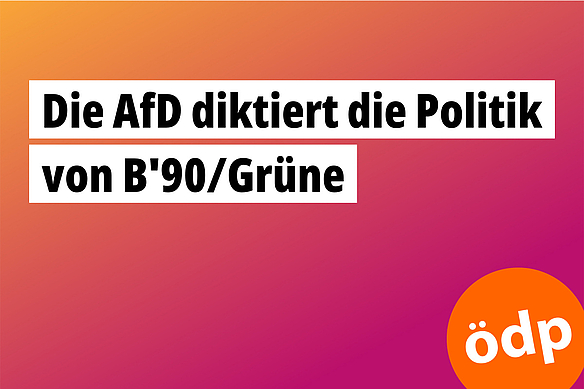Die AfD diktiert die Politik von B‘90/Grüne